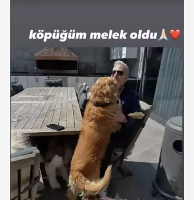 Mehmet Ali Erbil'den acı haber! 15 Yıllık dostu köpeğini kaybetti - Resim: 0