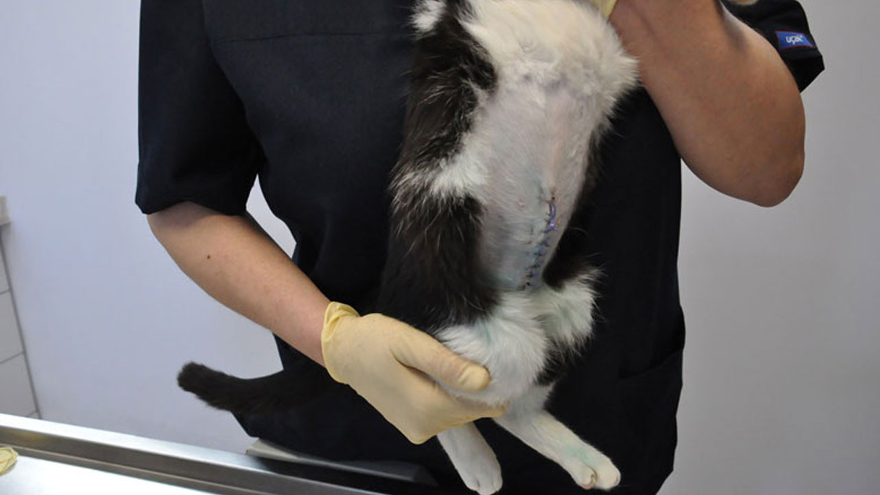 Martta fiyatı en çok artan ve azalan ürünler belli oldu